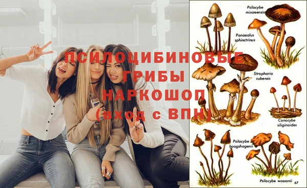 гашишное масло Медвежьегорск