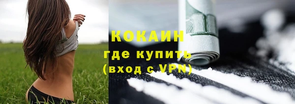 гидра Мегион