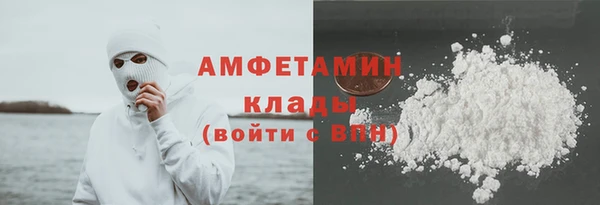 гидра Мегион