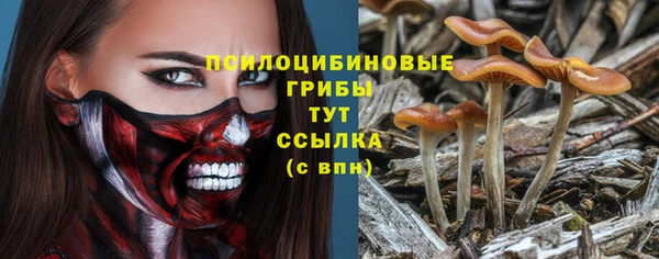 винт Медногорск
