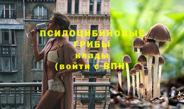гашишное масло Медвежьегорск