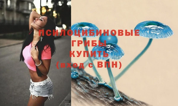 гашишное масло Медвежьегорск